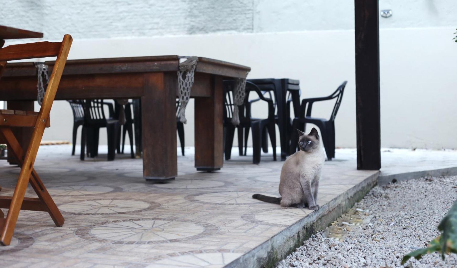 Sagui Hostel Florianópolis Zewnętrze zdjęcie