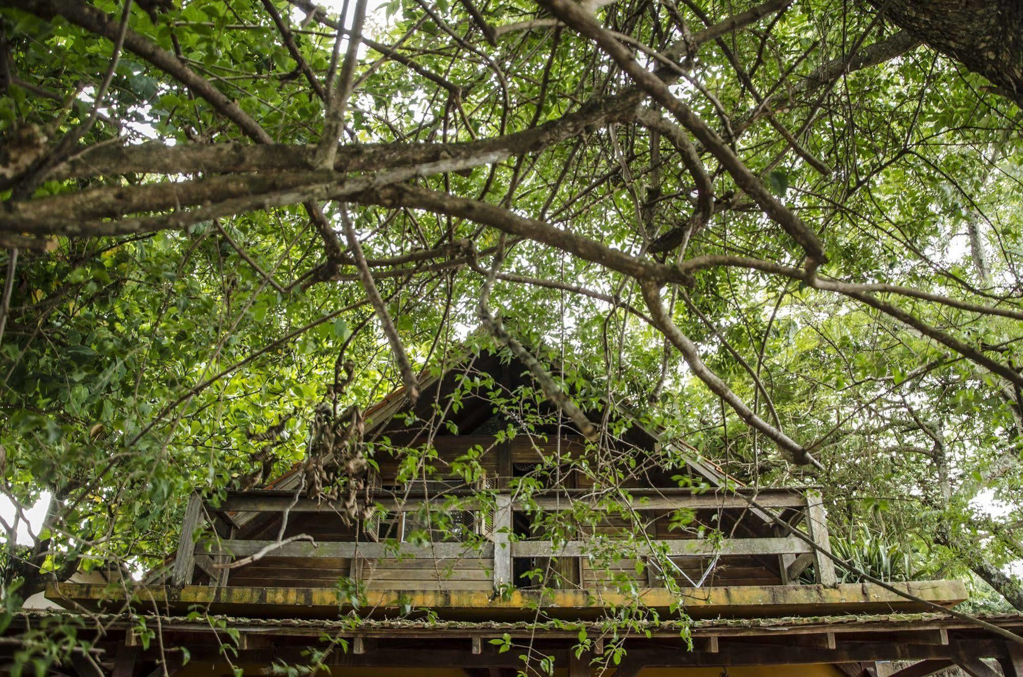 Sagui Hostel Florianópolis Zewnętrze zdjęcie